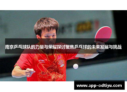 南京乒乓球队的力量与荣耀探讨聚焦乒乓球的未来发展与挑战