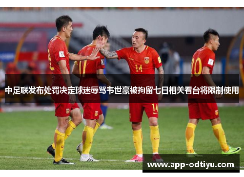 中足联发布处罚决定球迷辱骂韦世豪被拘留七日相关看台将限制使用